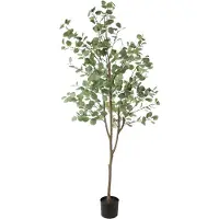 Countryfield Eucalyptus XL groen