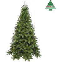 Edelman Kerstboom Tuscan - d183 h365cm groen