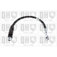Quinton Hazell BFH5749 Remslang
