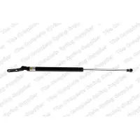 LESJÖFORS 8162035 Gasveer achterklep