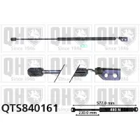 Quinton Hazell QTS840161 Gasveer achterklep