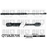 Quinton Hazell QTS828706 Gasveer achterklep