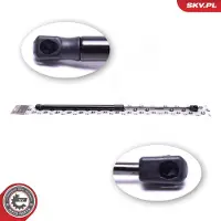 ESEN SKV 52SKV764 Gasveer achterklep