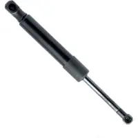 Einparts EP10017GS Gasveer motorkap