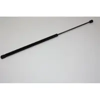 AUTOMEGA 100054610 Gasveer achterklep