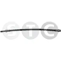 STC T496093 Remslang