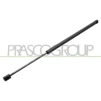PRASCO VG4509055 Gasveer achterklep