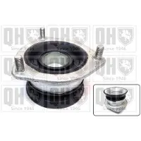 Quinton Hazell EMR4822 Veerpootlager