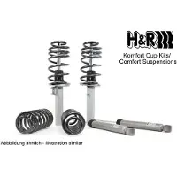H&R 40485-1 Schokdemper met veer