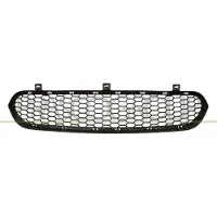 BLIC 6502-07-0096912P Ventilatiegrille, bumper