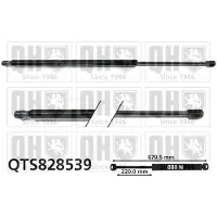 Quinton Hazell QTS828539 Gasveer achterklep
