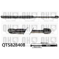 Quinton Hazell QTS828408 Gasveer achterklep