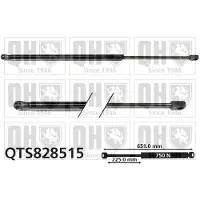 Quinton Hazell QTS828515 Gasveer achterklep
