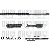 Quinton Hazell QTS828705 Gasveer achterklep