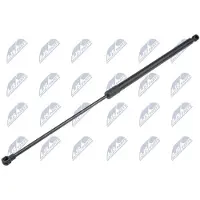 NTY AE-DW-015 Gasveer achterklep