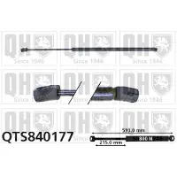 Quinton Hazell QTS840177 Gasveer achterklep