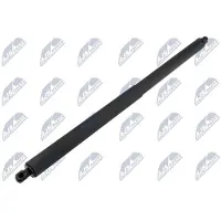 NTY AE-FR-068 Gasveer achterklep