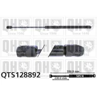 Quinton Hazell QTS128892 Gasveer achterklep