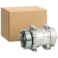 RIDEX 447K0105 Aircopomp