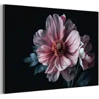 MuchoWow Aluminium schilderij 30x20 cm - Wanddecoratie metaal - Bloem - Roze - Bloemen - Natuur - Metalen muurdecoratie woonkamer - Decoratie industrieel - Foto op dibond - Industriële accessoires slaapkamer