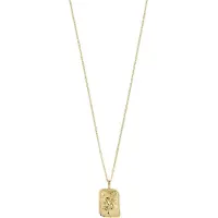 Pilgrim Ketting 'Zodiac Sign Capricornus' goud
