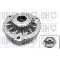 Quinton Hazell EMR4828 Veerpootlager