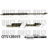 Quinton Hazell QTS128055 Gasveer achterklep