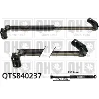 Quinton Hazell QTS840237 Gasveer achterklep