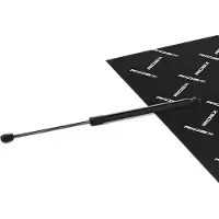 RIDEX 219G0991 Gasveer achterklep