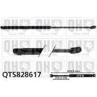 Quinton Hazell QTS828617 Gasveer achterklep