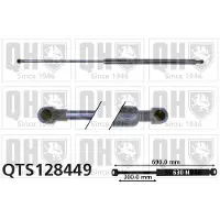 Quinton Hazell QTS128449 Gasveer achterklep