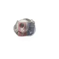 AKS DASIS 570596N Waterpomp