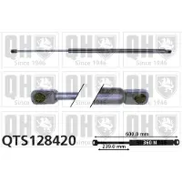 Quinton Hazell QTS128420 Gasveer achterklep
