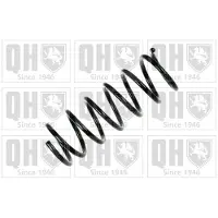 Quinton Hazell QCS6481 Chassisveer