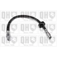 Quinton Hazell BFH1008 Remslang