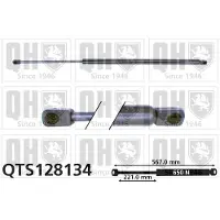 Quinton Hazell QTS128134 Gasveer achterklep