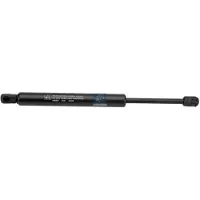 DT Spare Parts 5.17001 Gasveer