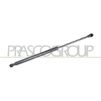 PRASCO ME3089055 Gasveer achterklep
