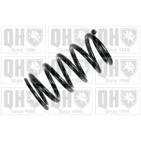 Quinton Hazell QCS6409 Chassisveer