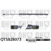 Quinton Hazell QTS828073 Gasveer achterklep
