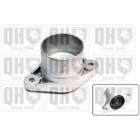 Quinton Hazell EMR4973 Veerpootlager