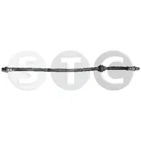 STC T496005 Remslang