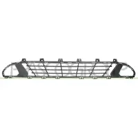 PRASCO BM0342110 Ventilatiegrille, bumper