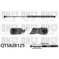 Quinton Hazell QTS828125 Gasveer achterklep