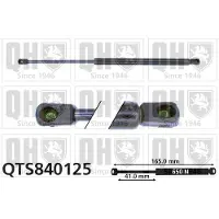 Quinton Hazell QTS840125 Gasveer achterklep
