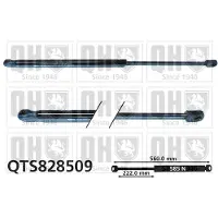 Quinton Hazell QTS828509 Gasveer achterklep