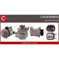 Casco CAC81029GS Aircopomp