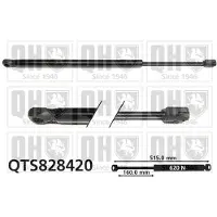 Quinton Hazell QTS828420 Gasveer achterklep