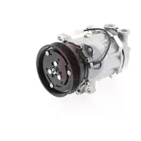 AKS DASIS 850803N Aircopomp