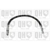 Quinton Hazell BFH4173 Remslang